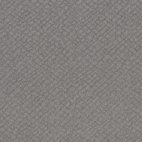 Grey Fox