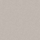 Shaw Floors - ALLURING CANVAS by Shaw Floors - Winters Dawn