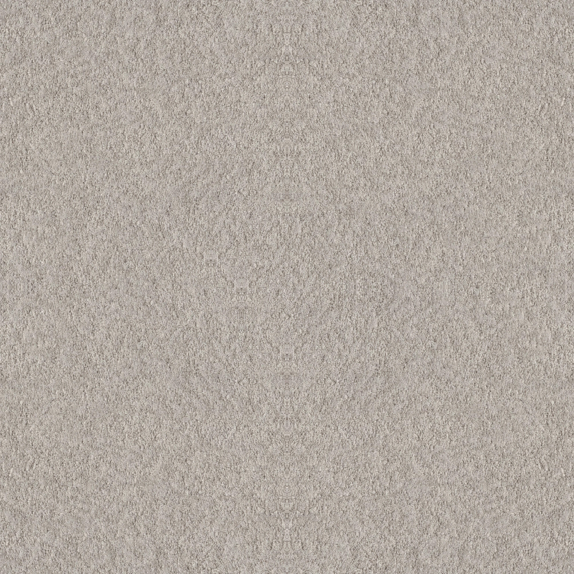 Shaw Floors - ALLURING CANVAS by Shaw Floors - Split Sediment