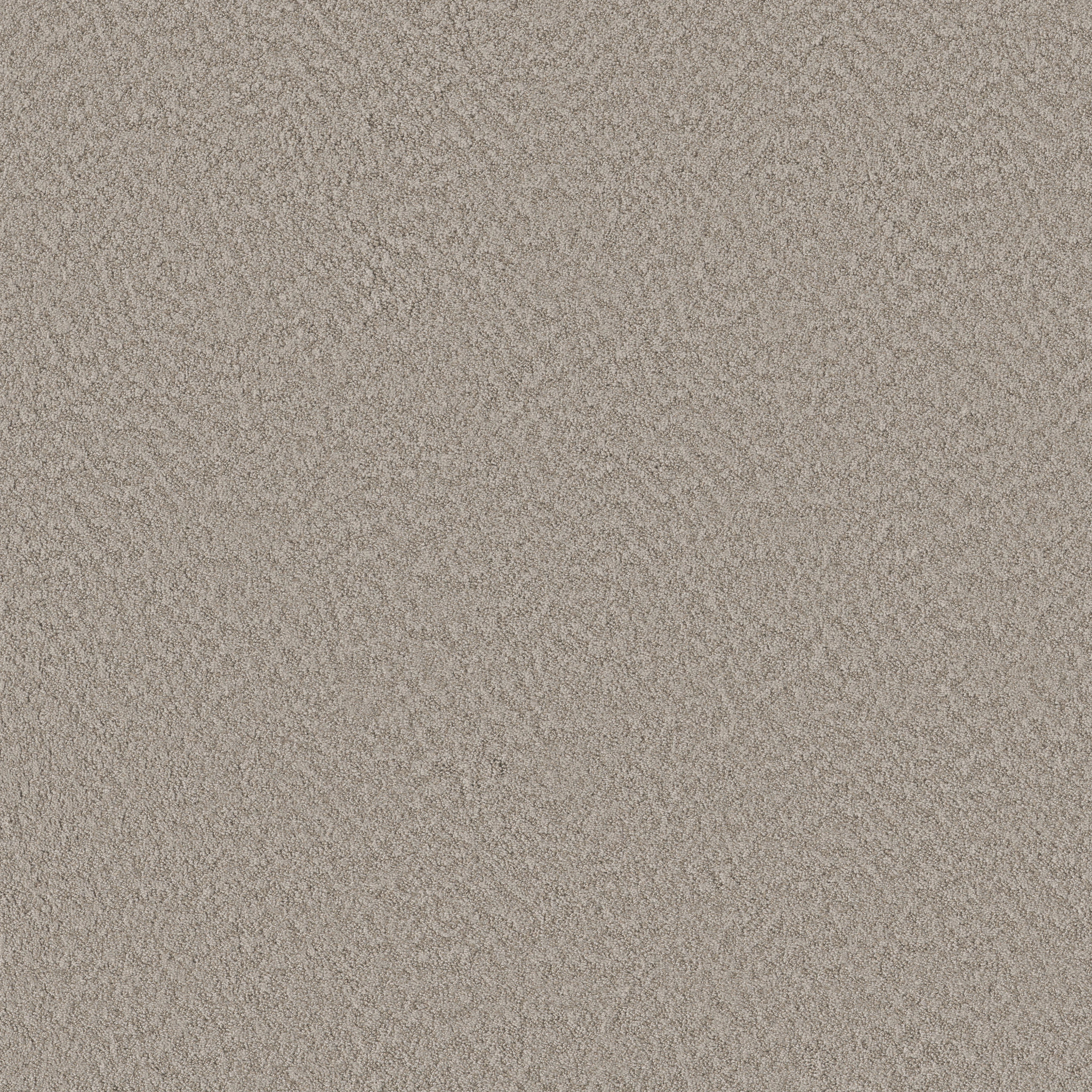 Shaw Floors - ALLURING CANVAS by Shaw Floors - Fossil Path