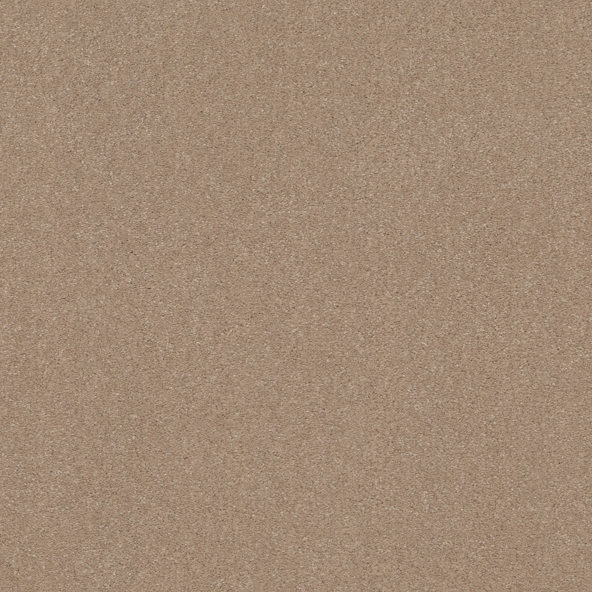 Shaw Floors - SOLIDIFY II 15' by Shaw Floors - Raw Lumber