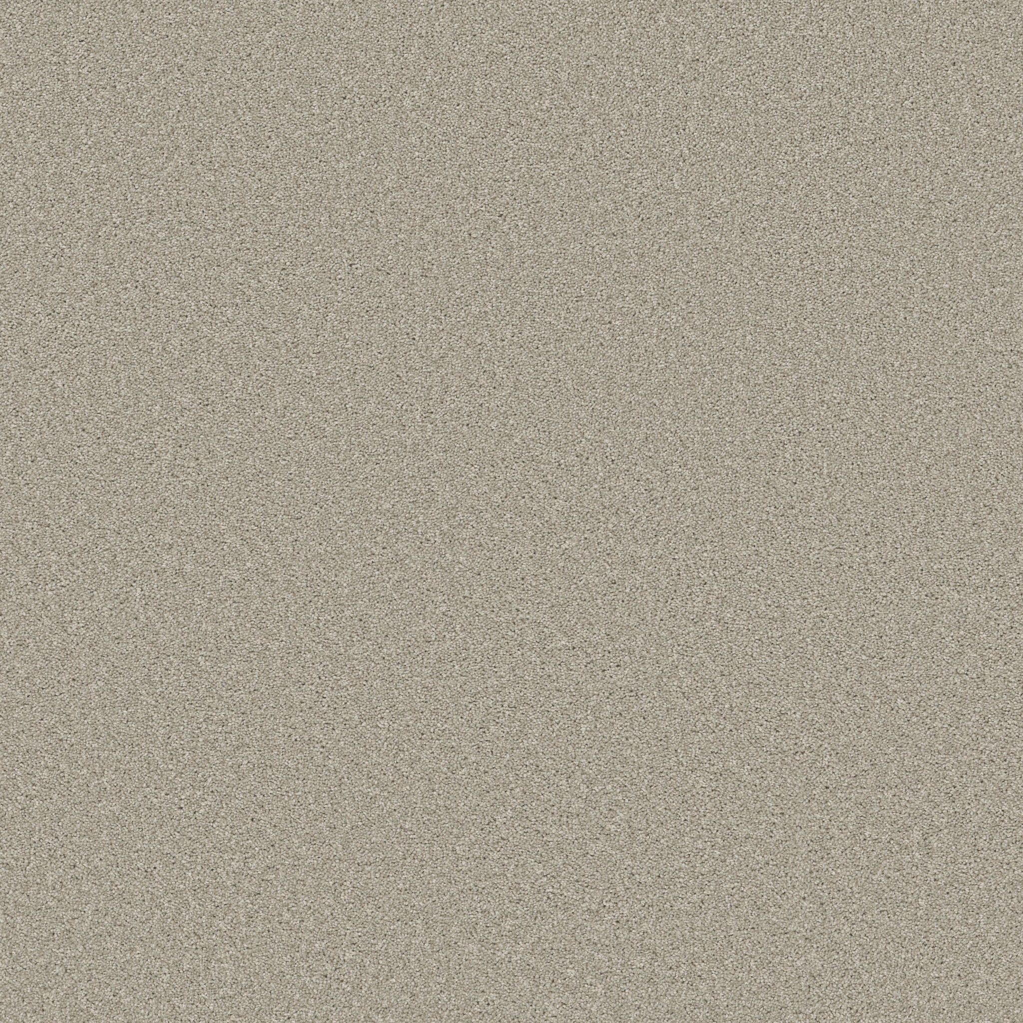 Shaw Floors - TRUSOLUTIONS II by Shaw Floors - Bleached Oak