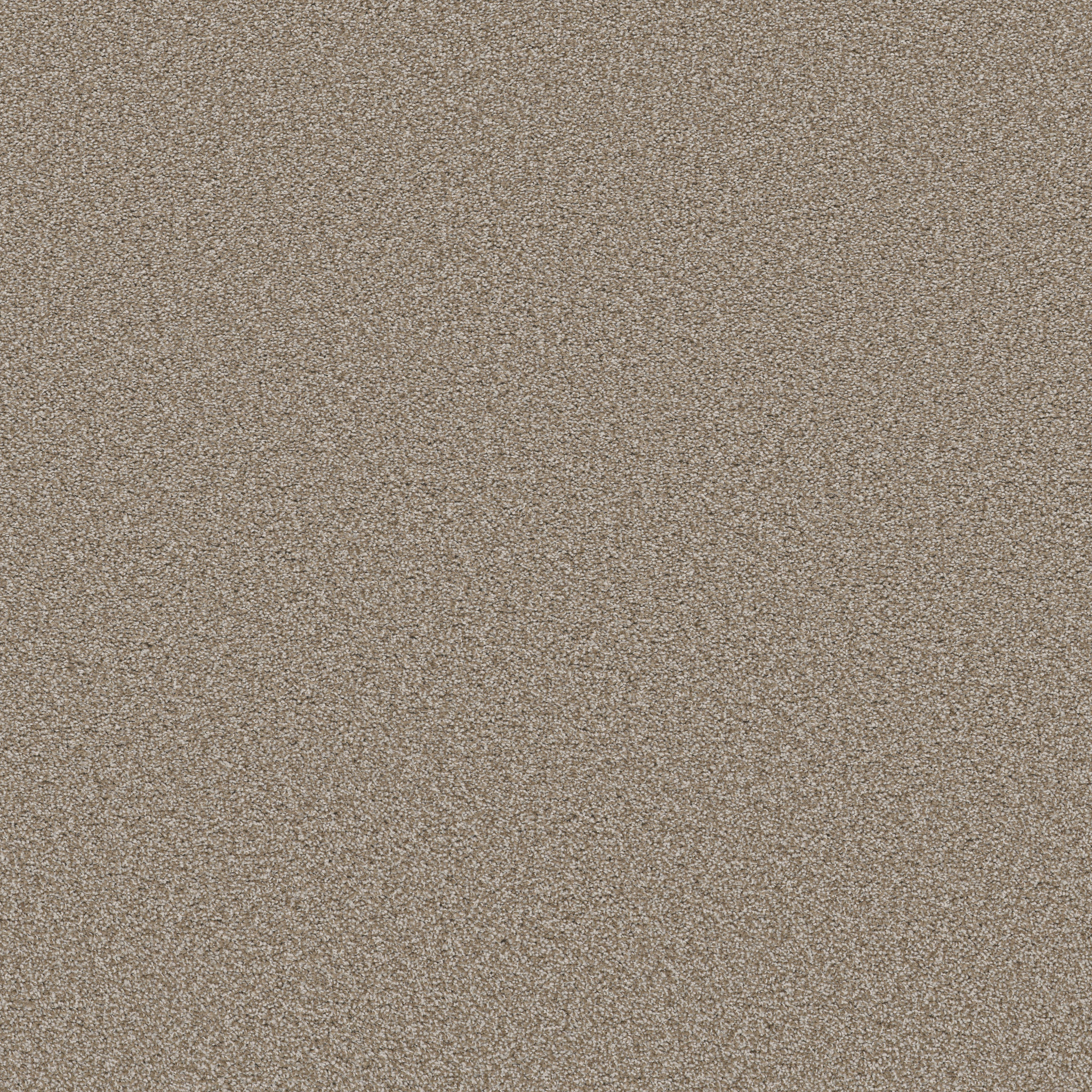 Shaw Floors - TRUSOLUTIONS II by Shaw Floors - Beach Cabana