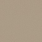 Shaw Floors - WELL MADE by Shaw Floors - Agate