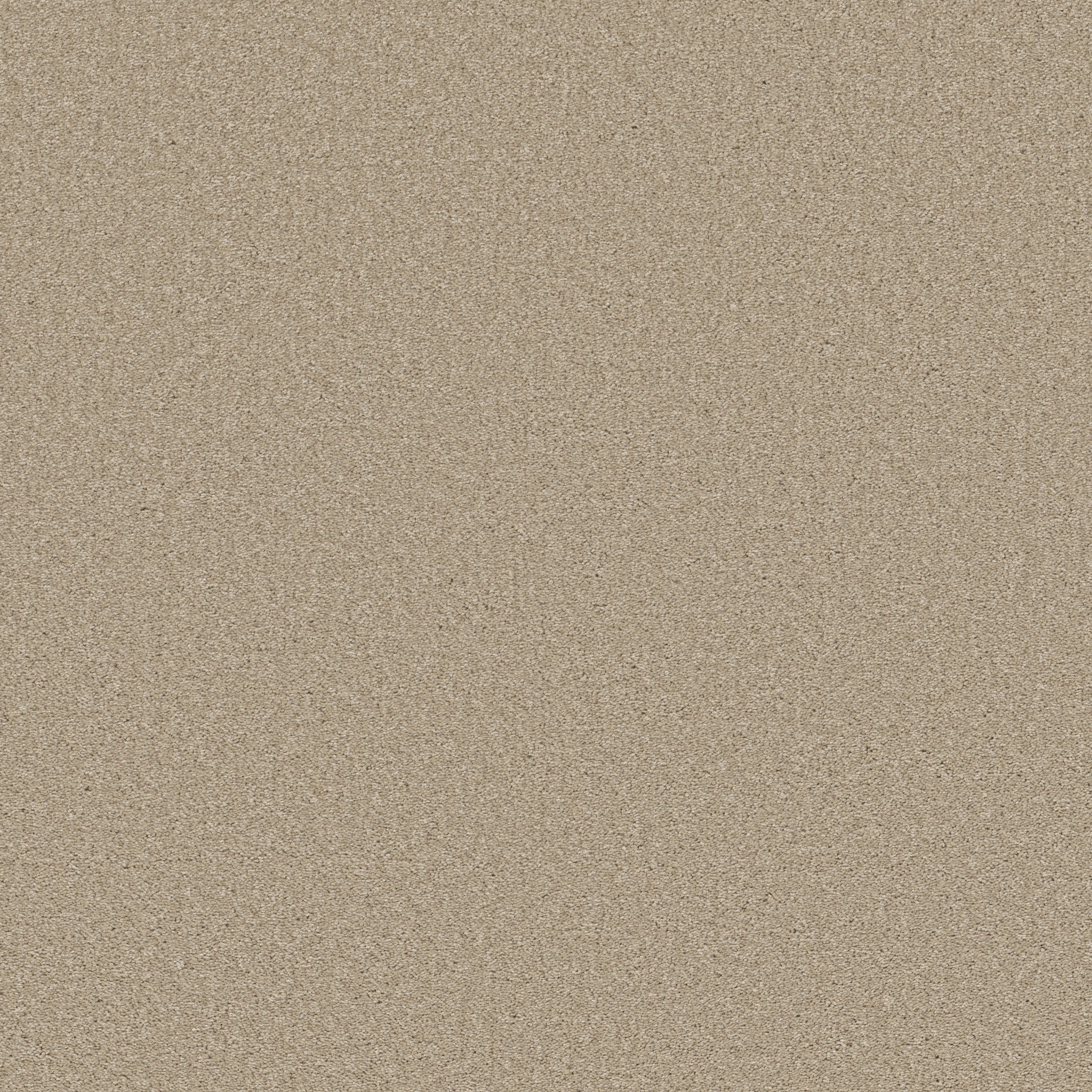 Shaw Floors - WELL MADE by Shaw Floors - Agate