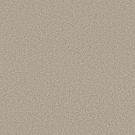 Shaw Floors - WELL MADE by Shaw Floors - Ecru