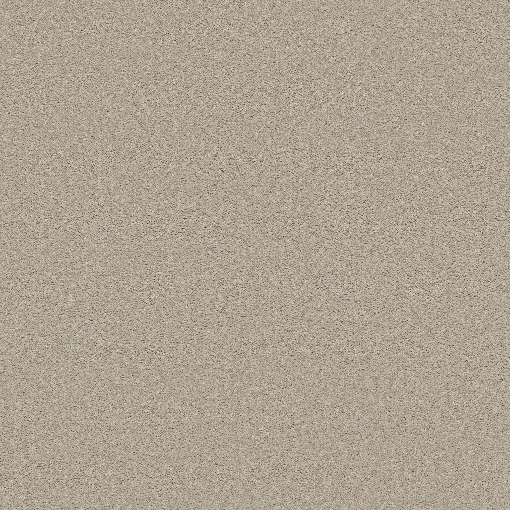 Shaw Floors - WELL MADE by Shaw Floors - Ecru