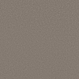 Mocha Frost