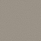 Shaw Floors - FEELIN' ALRIGHT by Shaw Floors - Almond
