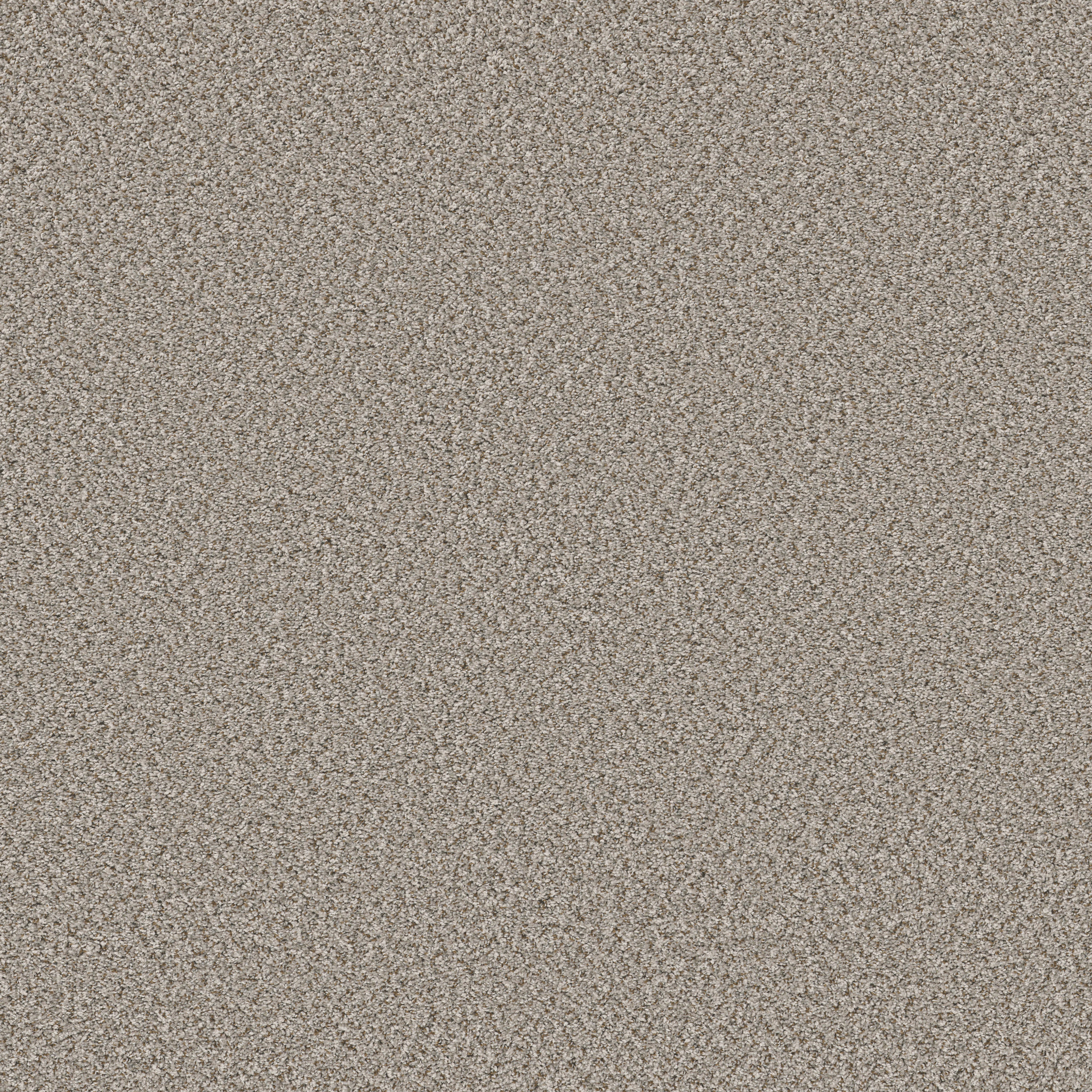 Shaw Floors - FEELIN' ALRIGHT by Shaw Floors - Almond
