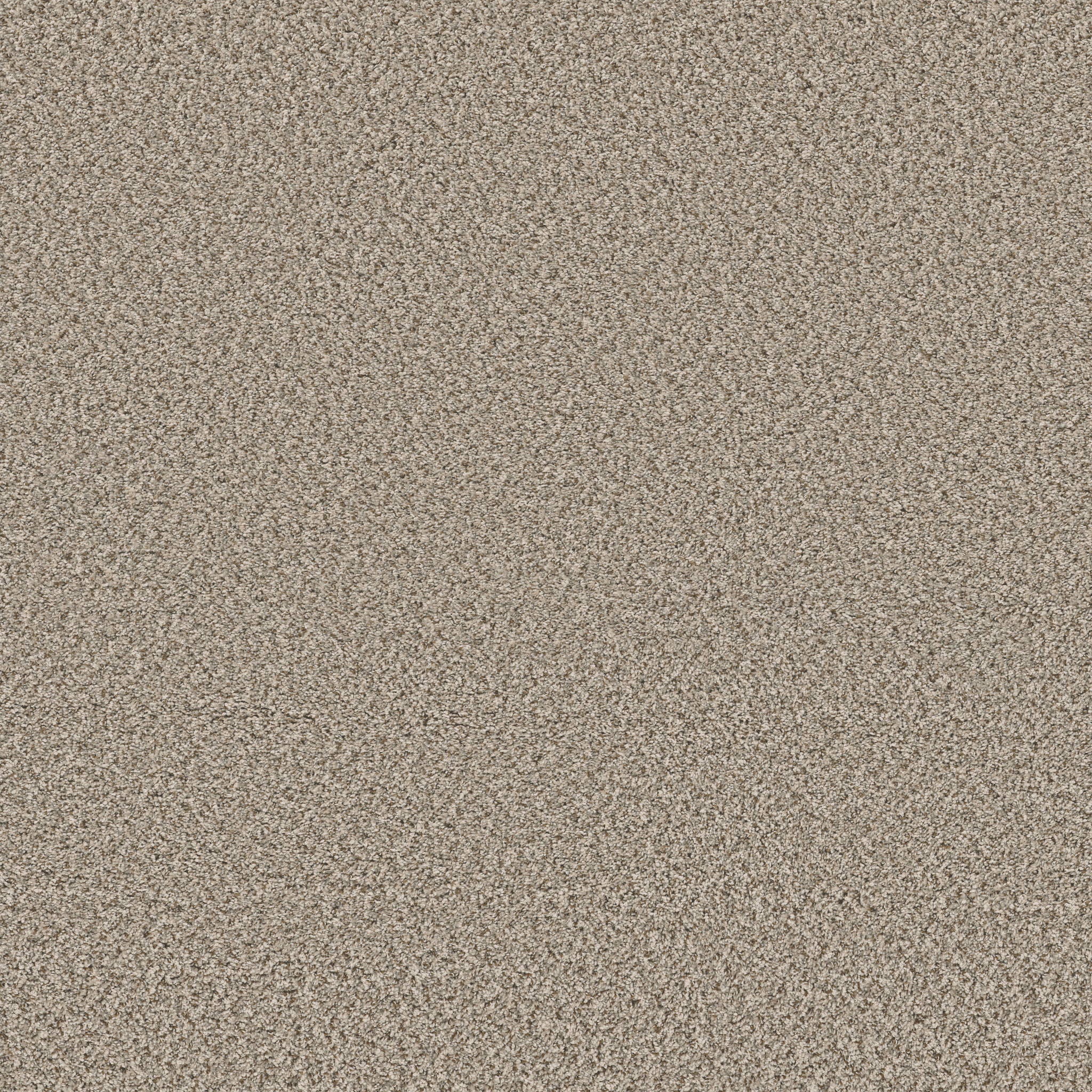Shaw Floors - FEELIN' ALRIGHT by Shaw Floors - Flax