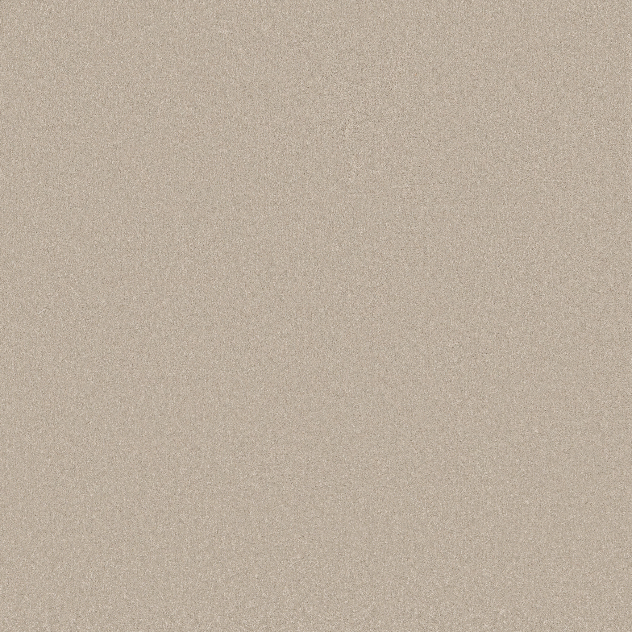 Shaw Floors - AWAKEN SPIRIT II 12' by Shaw Floors - Cloud