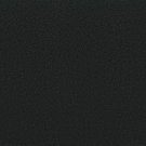 Shaw Floors - AWAKEN SPIRIT II 12' by Shaw Floors - Blackout