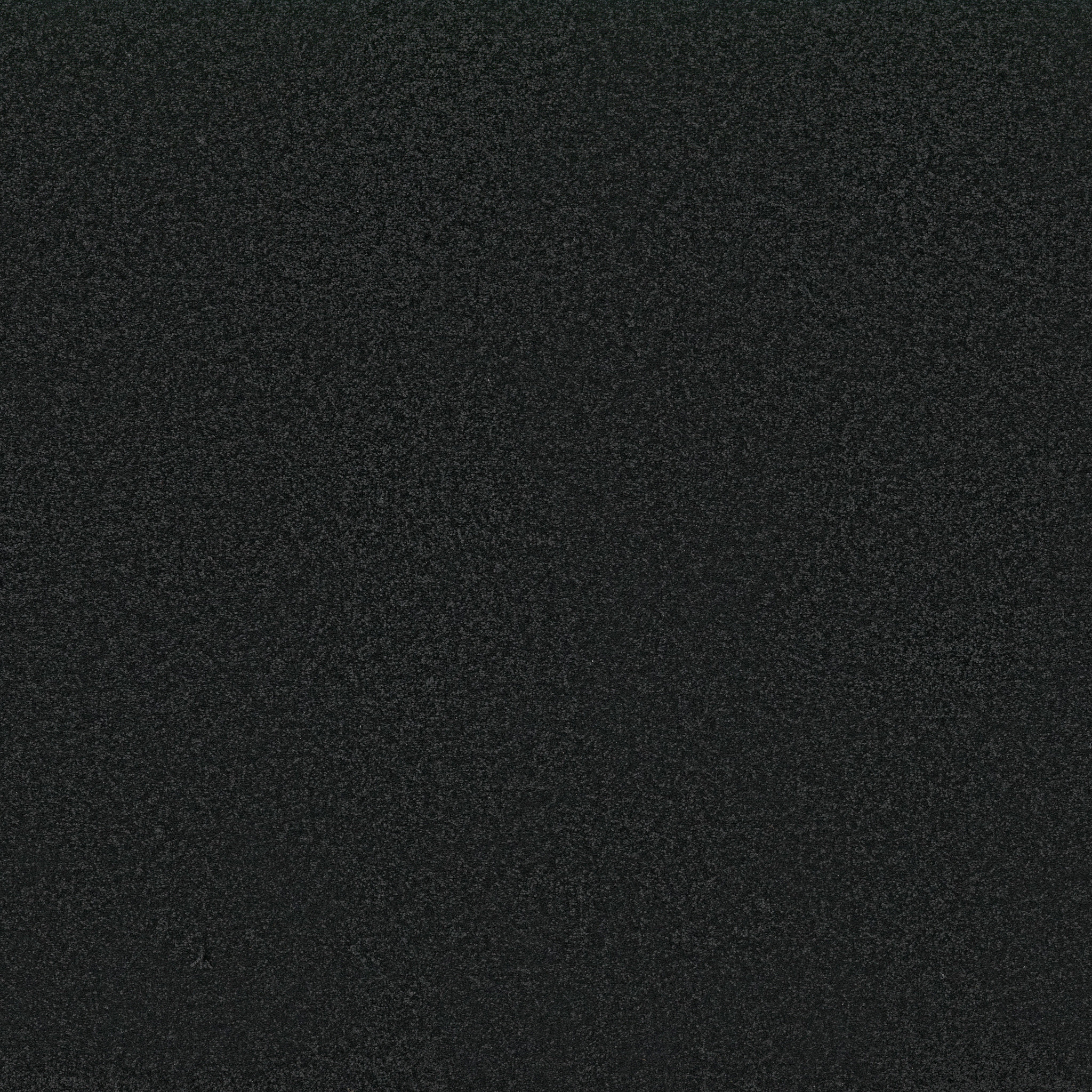 Shaw Floors - AWAKEN SPIRIT II 12' by Shaw Floors - Blackout