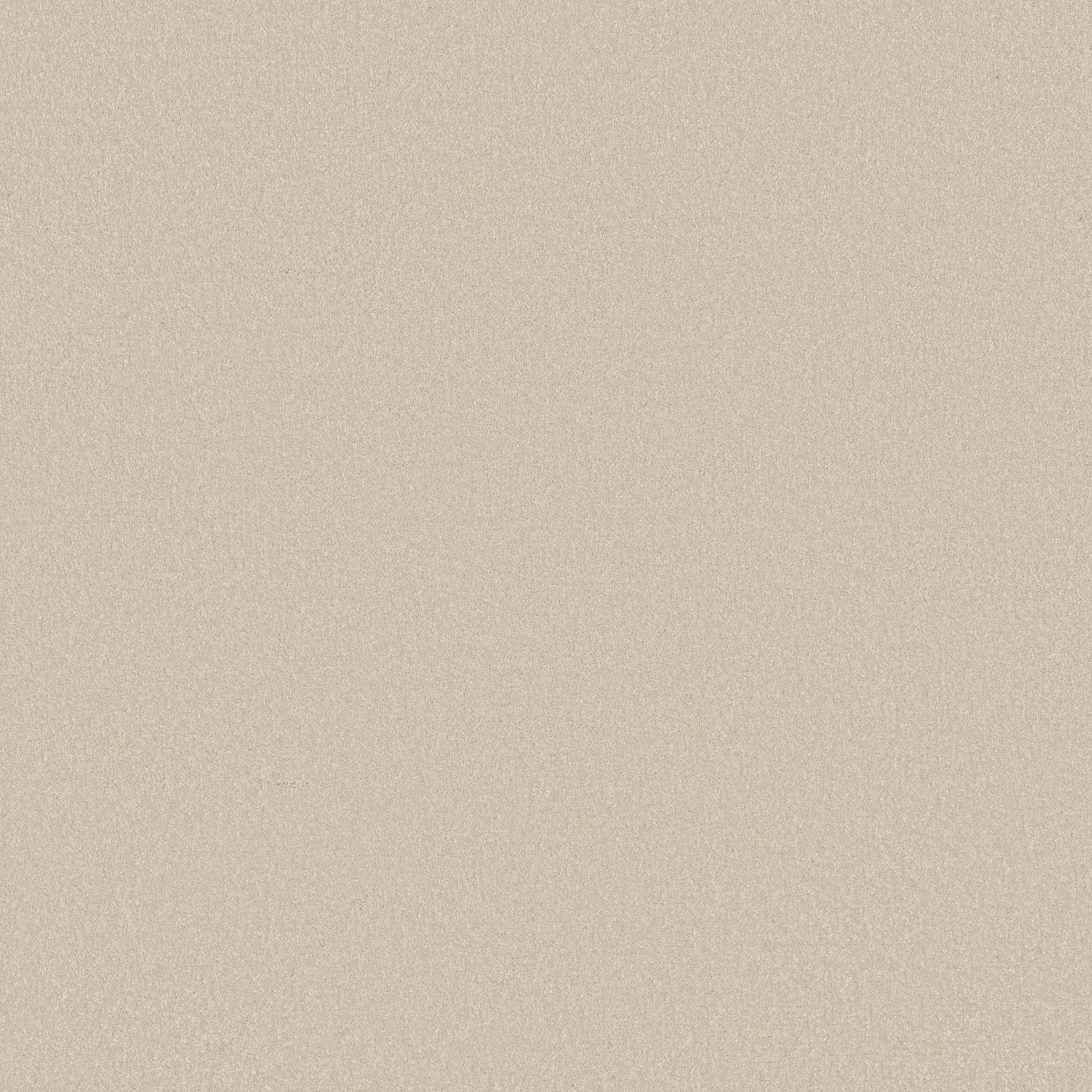 Shaw Floors - AWAKEN SPIRIT II 15' by Shaw Floors - Cream