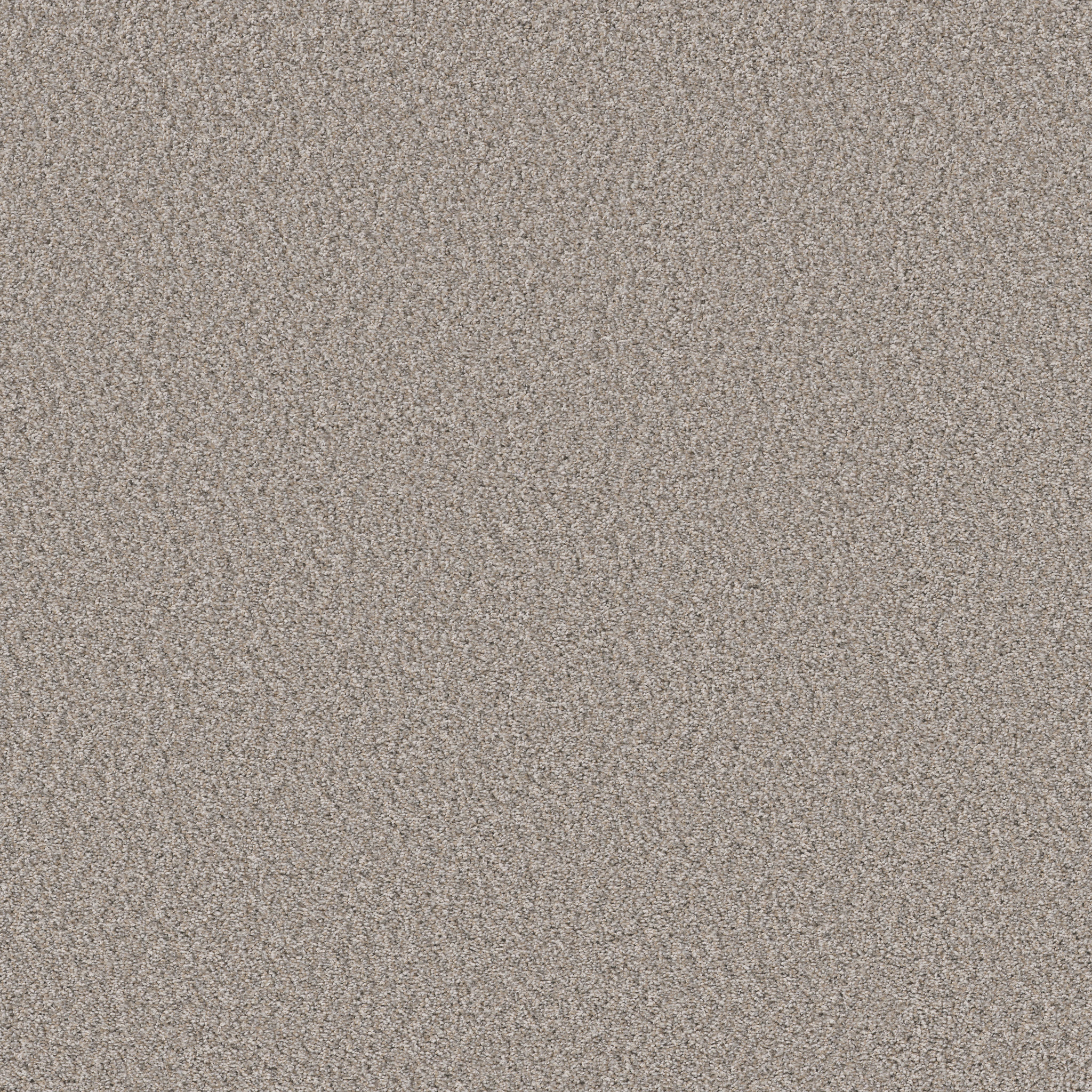 Rug Product Image