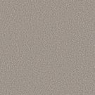 Shaw Floors - ALWAYS RIGHT II by Shaw Floors - Sea Salt