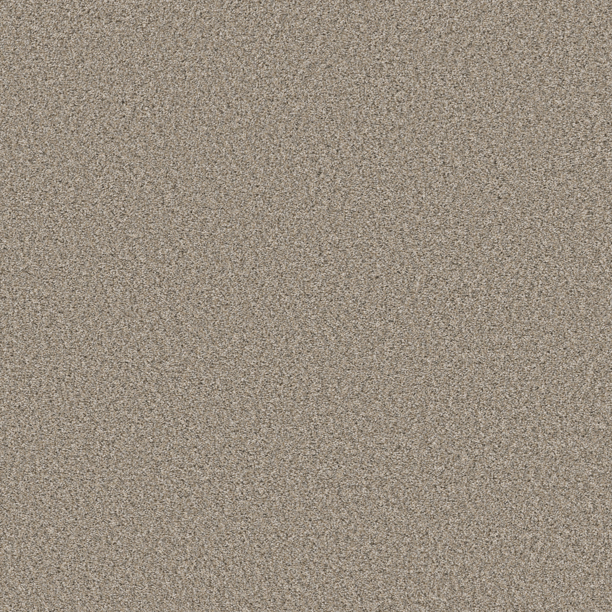 Shaw Floors - ALWAYS RIGHT II by Shaw Floors - Buttercream