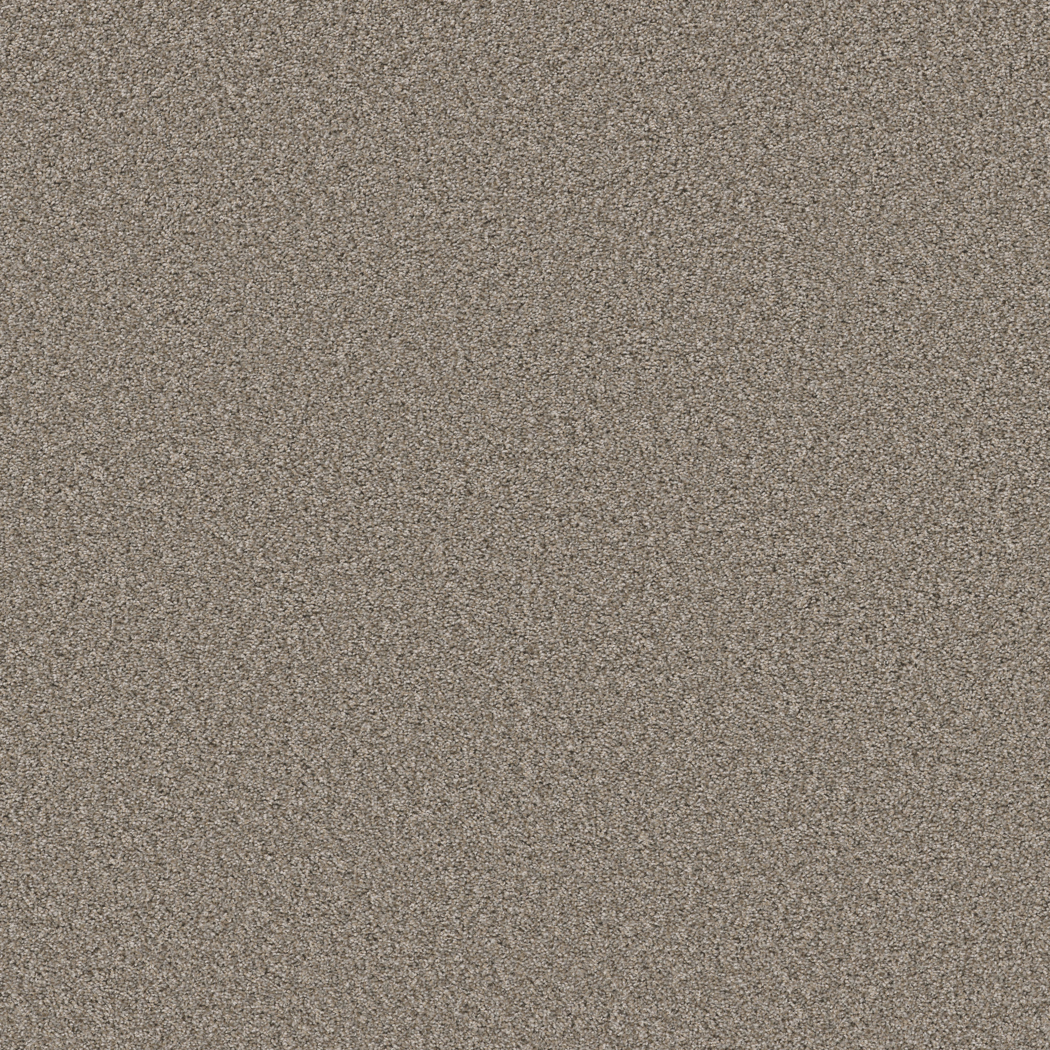 Shaw Floors - ALWAYS RIGHT II by Shaw Floors - Cottage