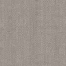 Shaw Floors - SECRET PASSAGE by Shaw Floors - Split Sediment