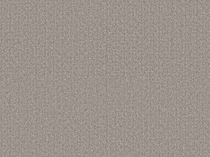 Shaw Floors - SECRET PASSAGE by Shaw Floors - Split Sediment
