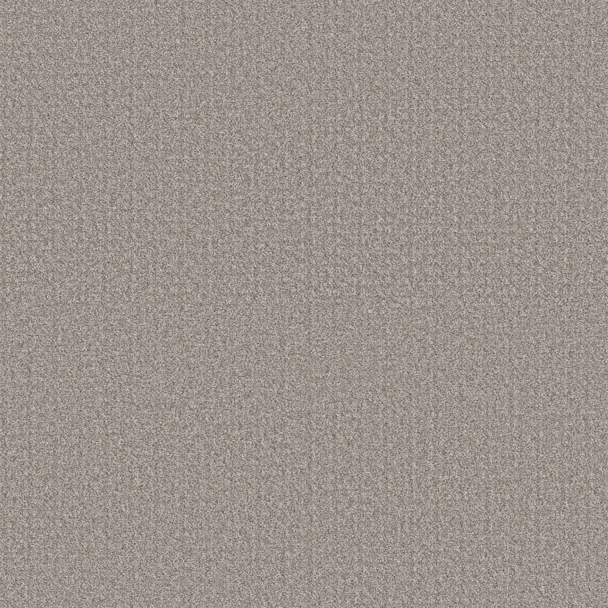 Shaw Floors - SECRET PASSAGE by Shaw Floors - Split Sediment