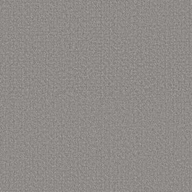 Grey Fox