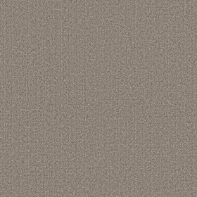 Dark Maple