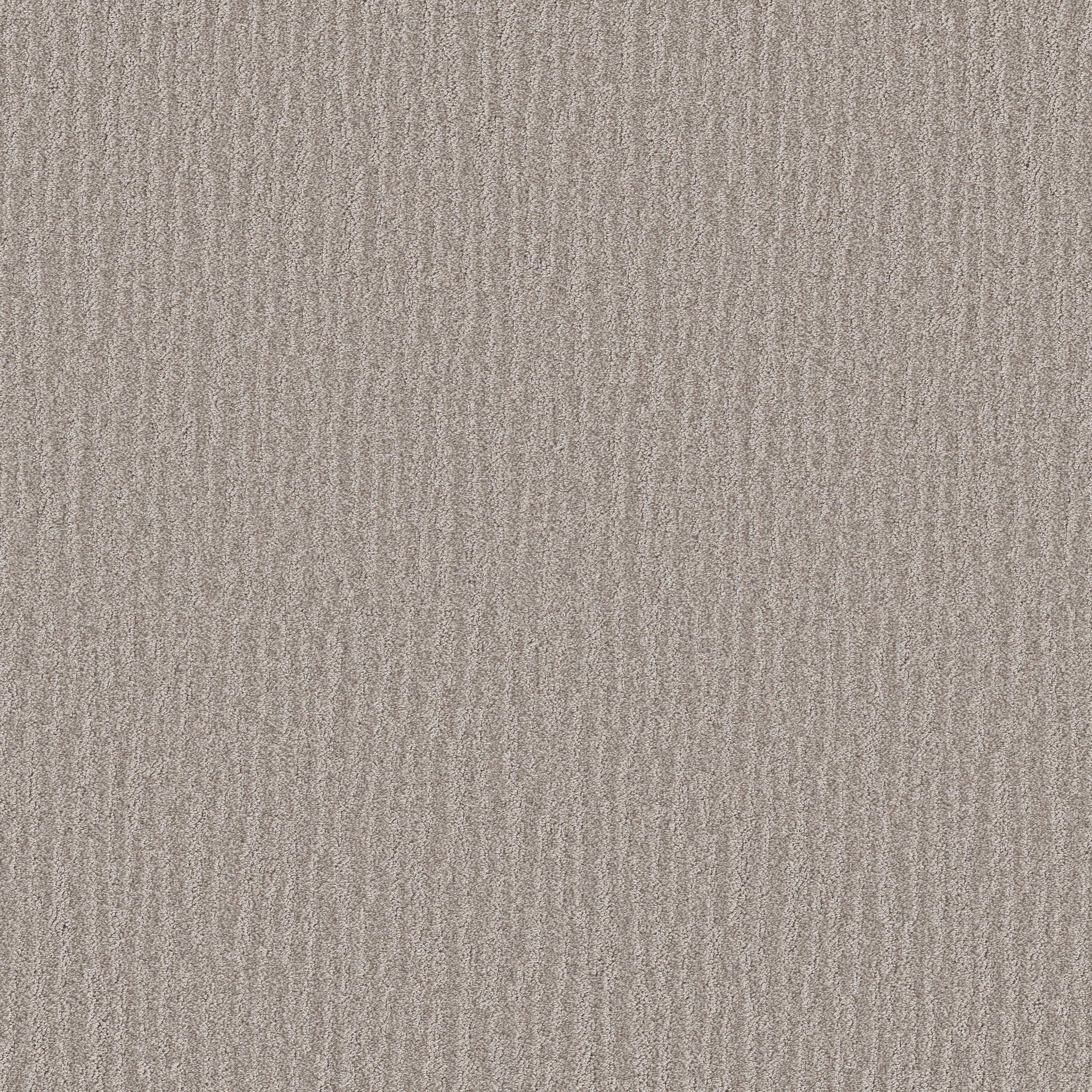 Shaw Floors - NATURE WITHIN by Shaw Floors - Split Sediment