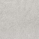 Shaw Floors - QUIET SANCTUARY by Shaw Floors - Snow Cap