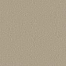 Shaw Floors - CLEVER CHOICE by Shaw Floors - Twine