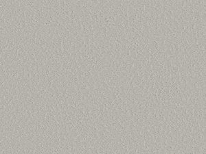 Shaw Floors - CLEVER CHOICE by Shaw Floors - Forest Fog