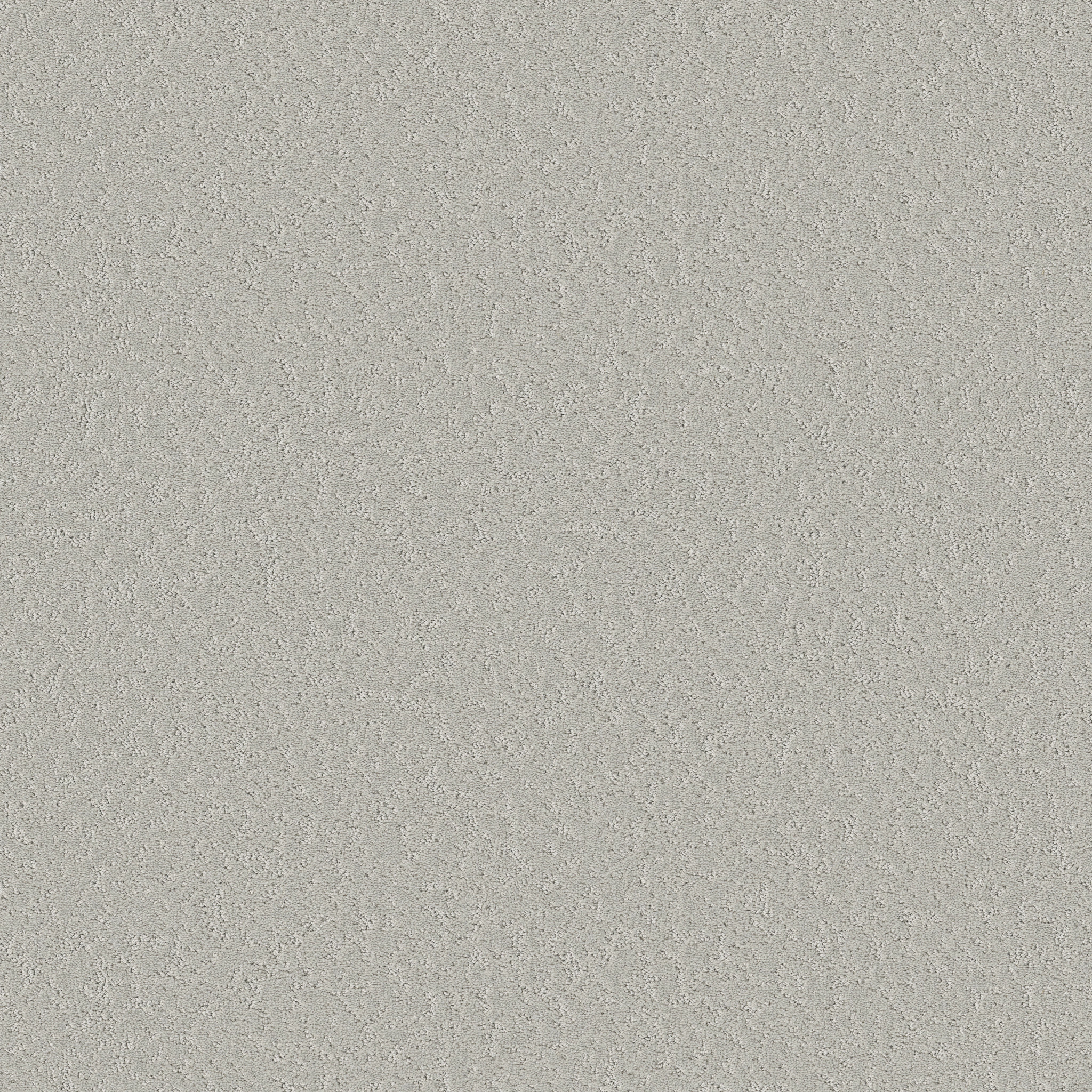 Shaw Floors - CLEVER CHOICE by Shaw Floors - Forest Fog