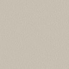 Shaw Floors - CLEVER CHOICE by Shaw Floors - Scotch Mist