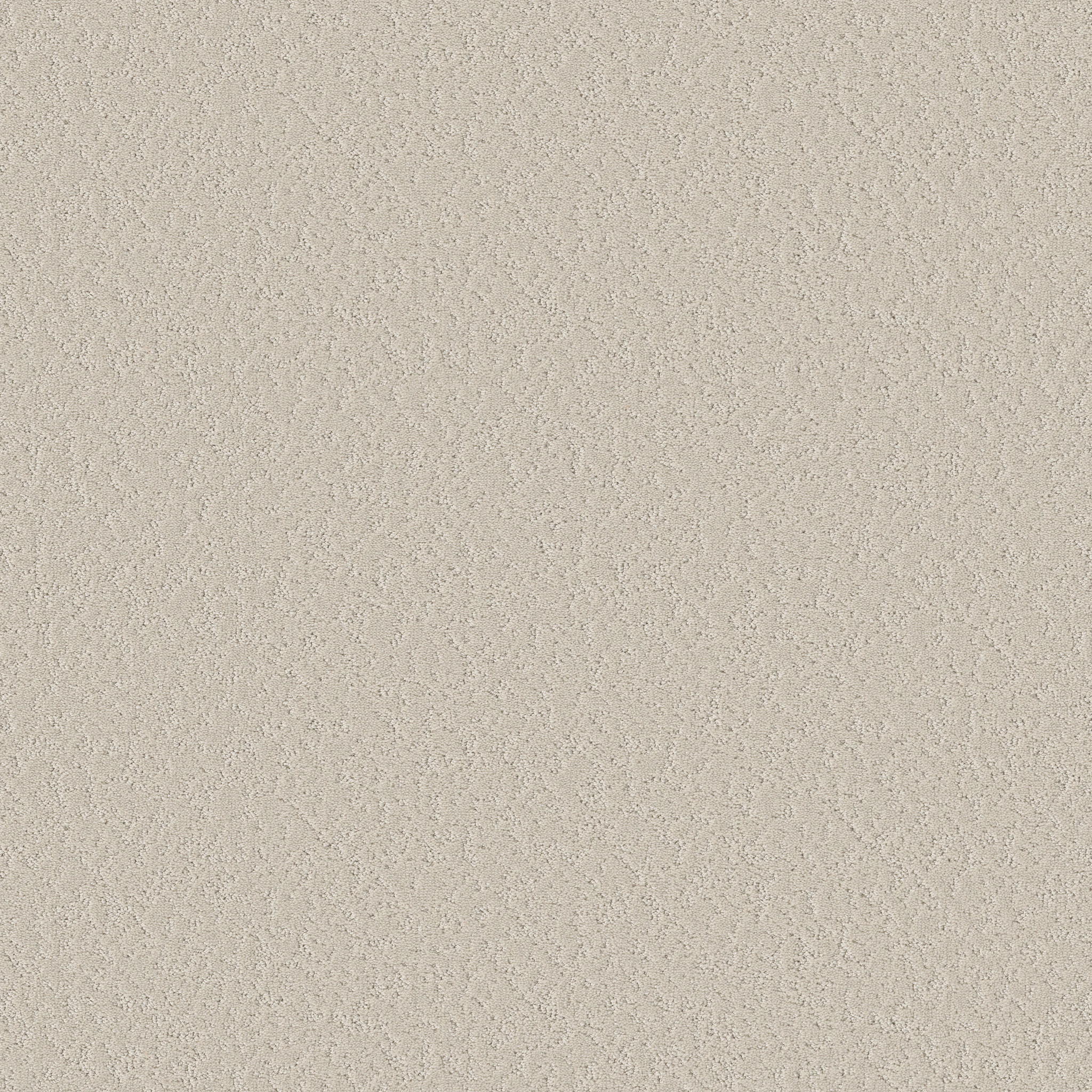 Shaw Floors - CLEVER CHOICE by Shaw Floors - Scotch Mist