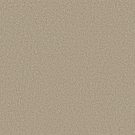 Shaw Floors - HIGH RANKING S by Shaw Floors - Paradise