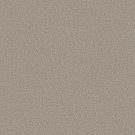 Shaw Floors - HIGH RANKING B by Shaw Floors - Wind's Breath