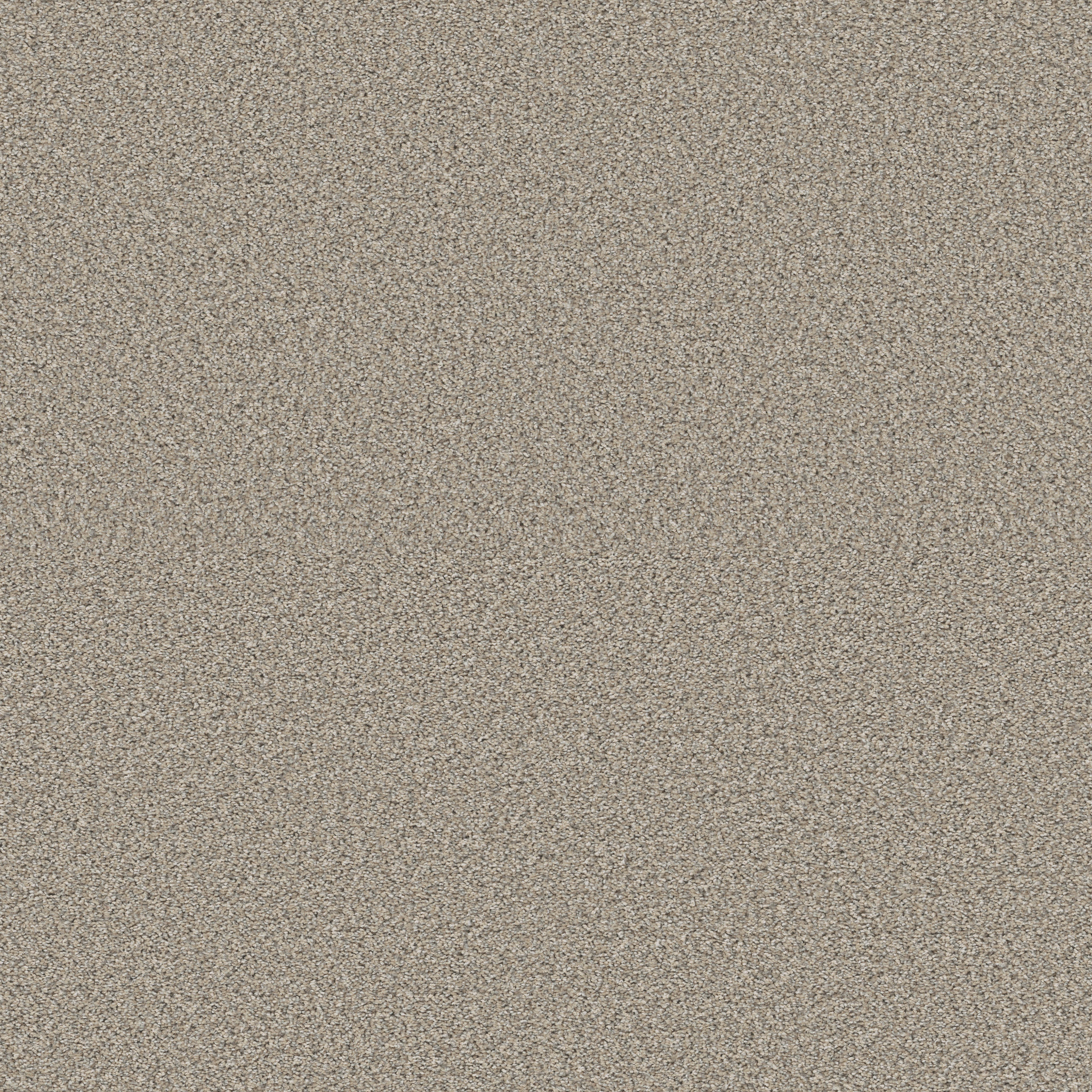 Shaw Floors - HIGH RANKING B by Shaw Floors - Wind's Breath
