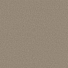 Shaw Floors - HIGH RANKING B by Shaw Floors - Dockside