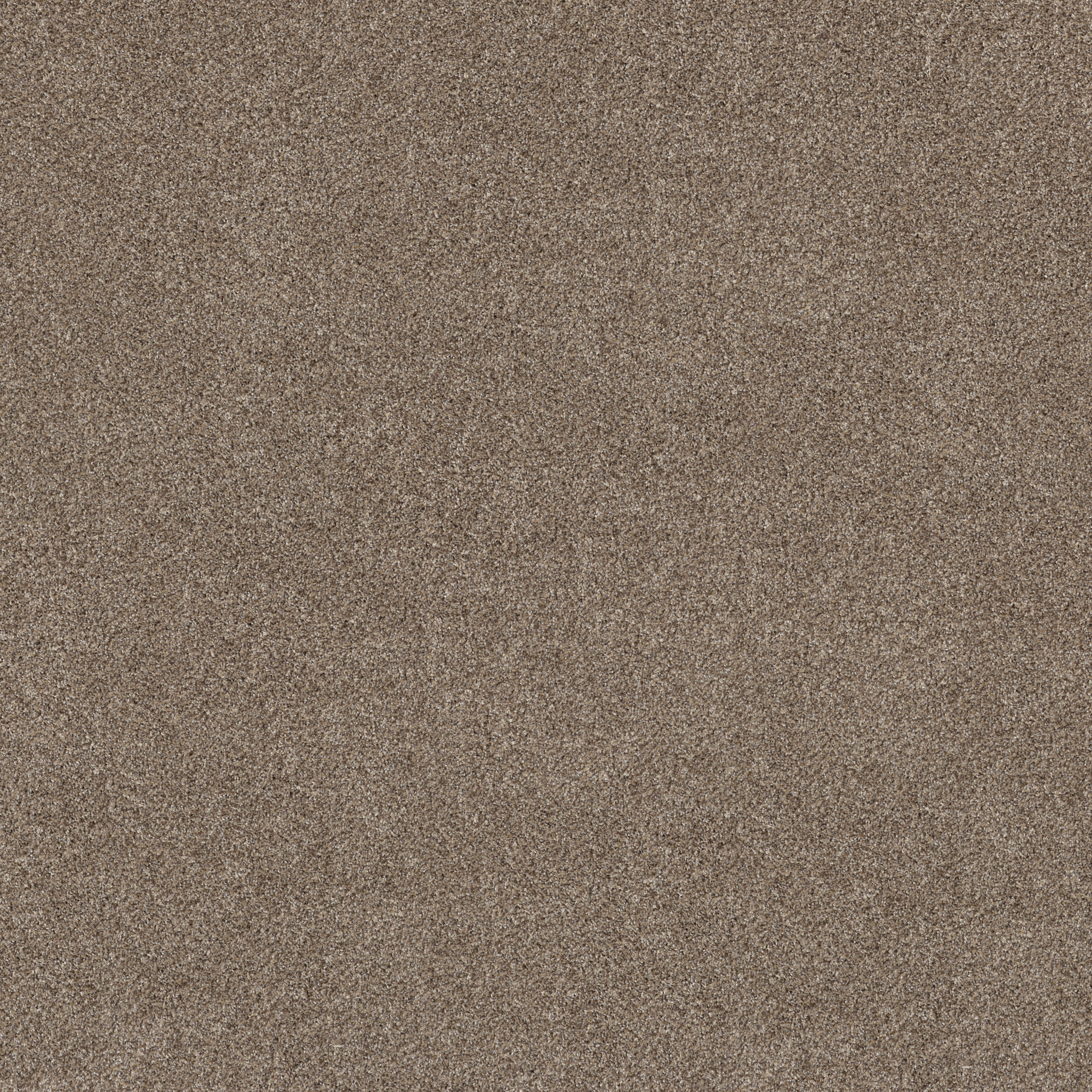 Rug Product Image