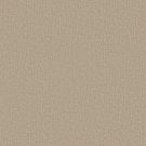 Shaw Floors - CLEVER DESIGN by Shaw Floors - Twine
