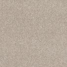 Shaw Floors - CALM SERENITY I by Shaw Floors - Washed Linen