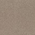Shaw Floors - CALM SERENITY I by Shaw Floors - Beige Bisque
