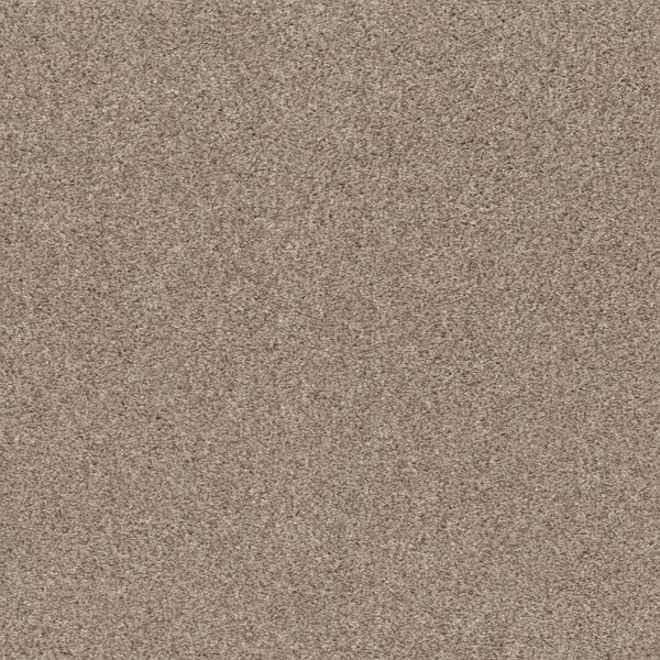 Shaw Floors - CALM SERENITY I by Shaw Floors - Beige Bisque