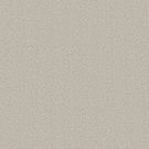 Shaw Floors - CLEVER BLEND by Shaw Floors - Almond Silk