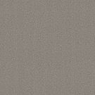 Shaw Floors - CLEVER BLEND by Shaw Floors - River Birch