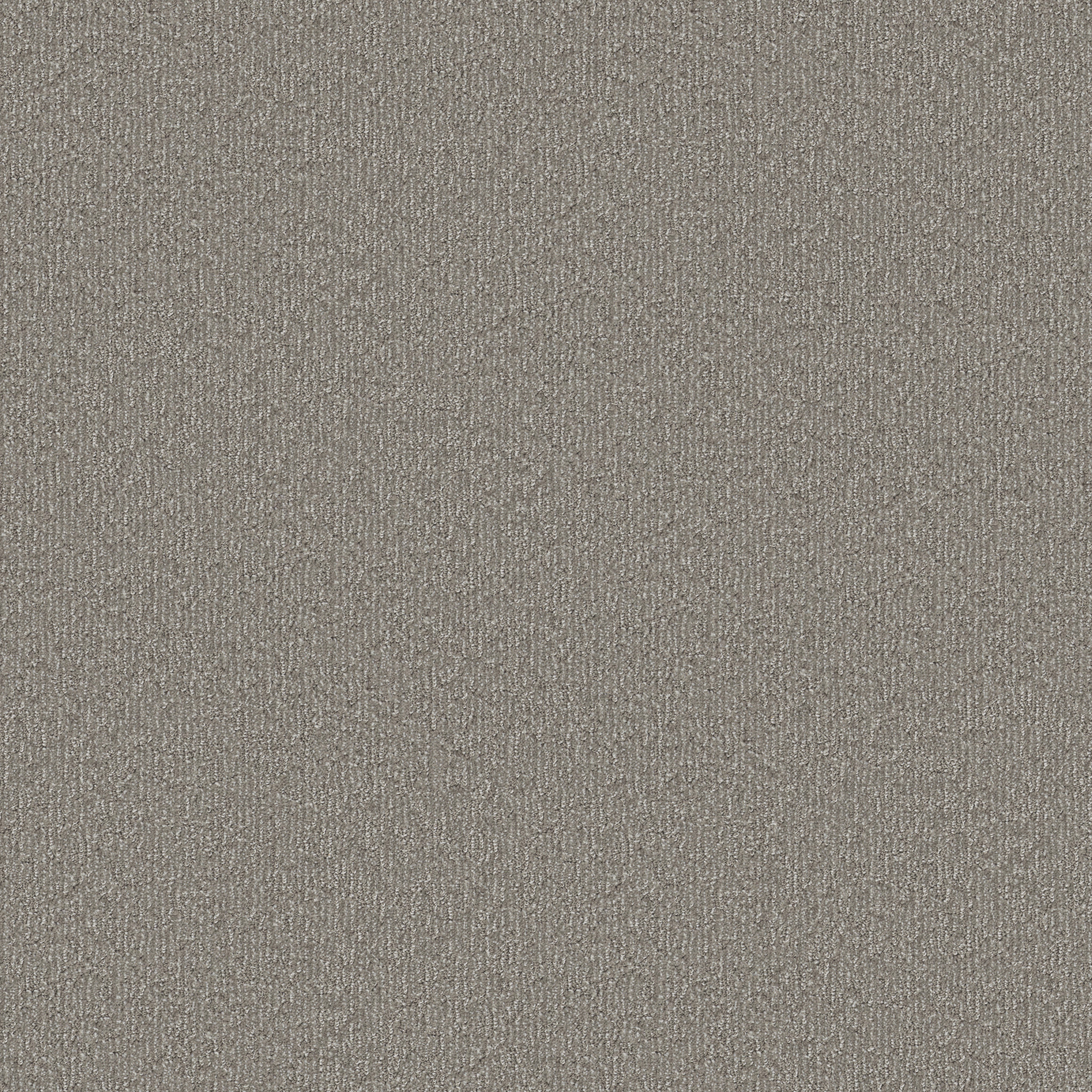 Shaw Floors - CLEVER BLEND by Shaw Floors - River Birch