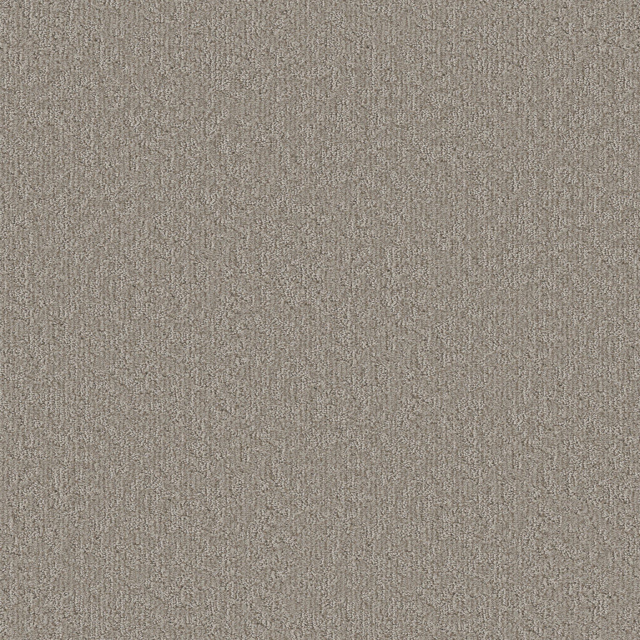 Shaw Floors - CLEVER BLEND by Shaw Floors - Chic Greige