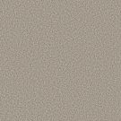 Shaw Floors - PRESCOTT VALLEY by Shaw Floors - Misty Dawn