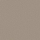 Shaw Floors - PRESCOTT VALLEY by Shaw Floors - Spun Cotton